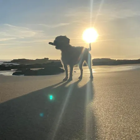 Casa En Aldea Frente A La Sierra De El Sueve